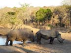 c-sud-africa (7)