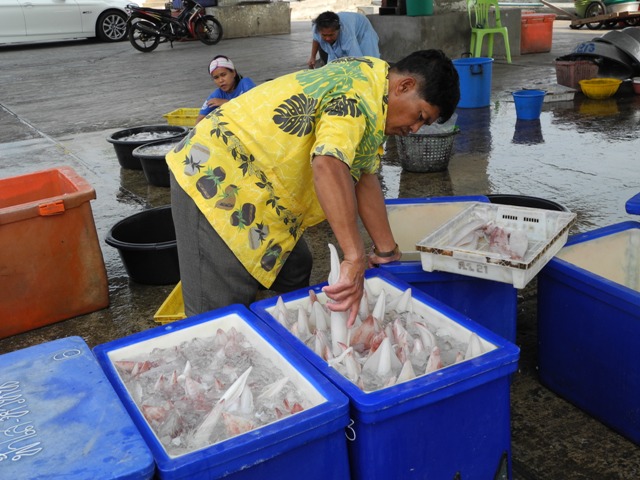 m-hua-hin (125)