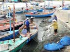 m-hua-hin (69)