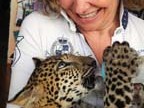 b-kwai-leopardo (25)