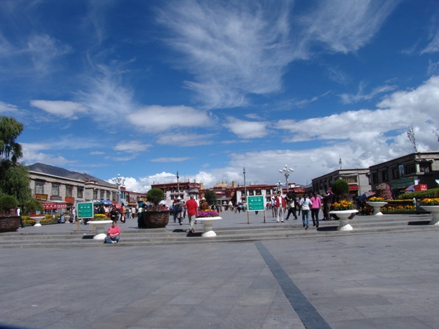 lhasa (11)