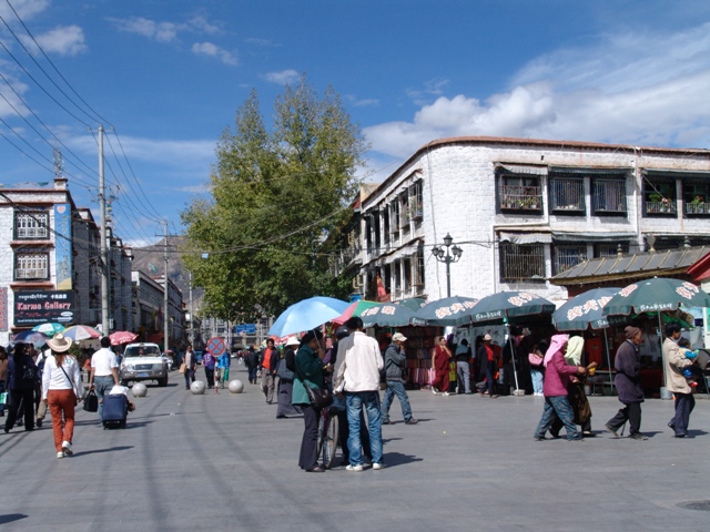lhasa (12)