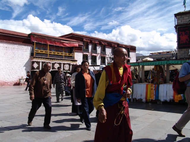 lhasa (20)