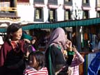 lhasa (106)