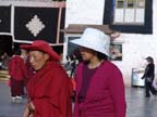 lhasa (109)