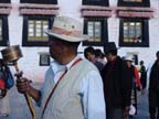 lhasa (110)