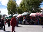 lhasa (13)
