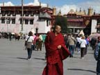 lhasa (15)