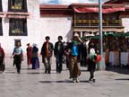lhasa (17)