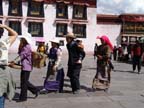 lhasa (19)