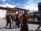 lhasa (20)
