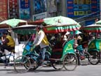 lhasa (5)