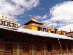 potala (60)