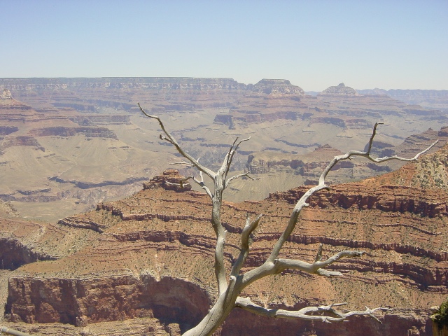 Gran Canyon South Rim (1)