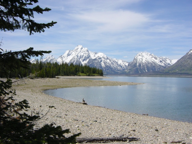 Teton Park (1)