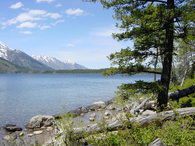 Teton Park (3)