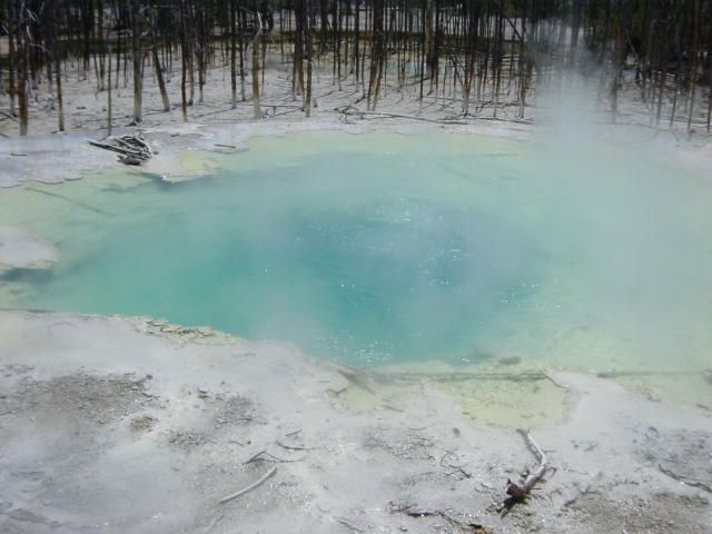 Yellowstone (1)