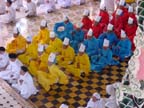 DSC00007