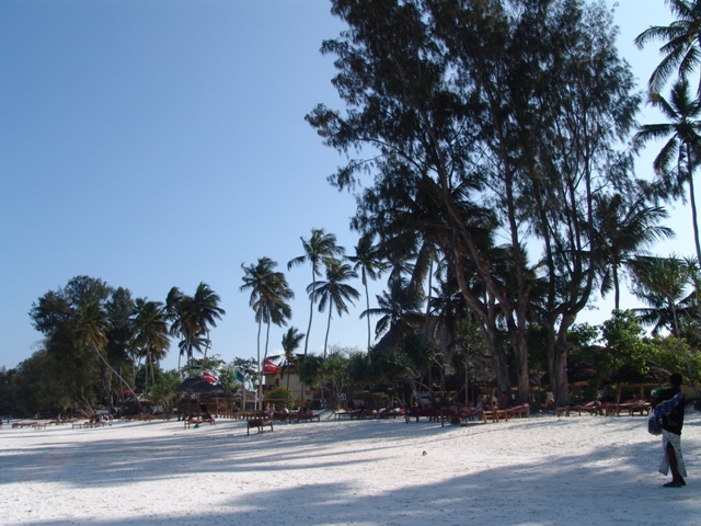 zanzibar (47)