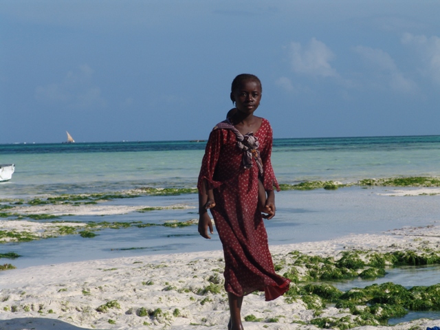 zanzibar (52)