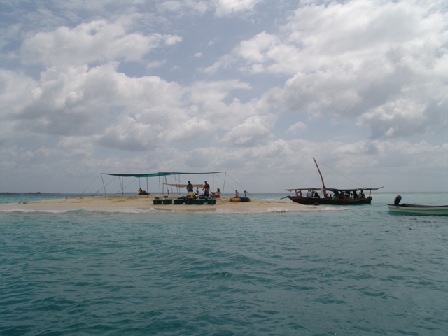 zanzibar (77)