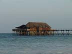 zanzibar (253)