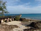 zanzibar (30)