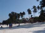zanzibar (46)