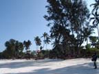 zanzibar (47)