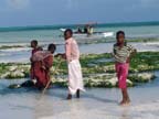zanzibar (51)