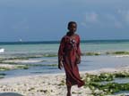 zanzibar (52)